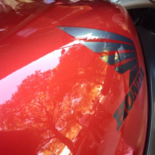 Pintura complete Honda CBR1100XX (original)