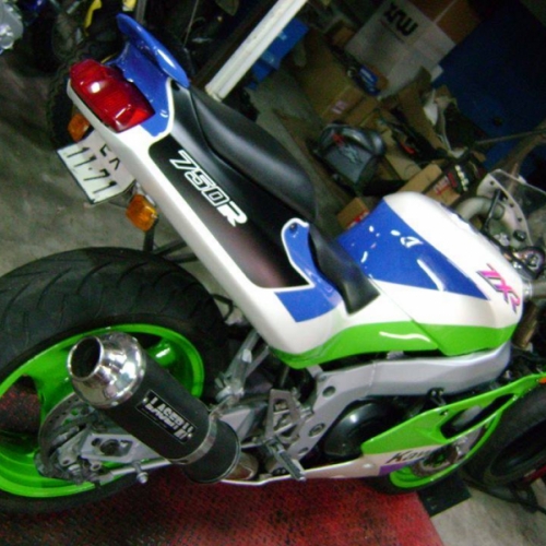 Pintura Kawasaki ZXR750R (Orig.) 