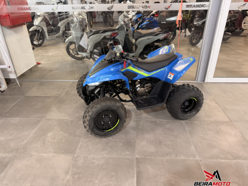 CFMOTO C-FORCE 110