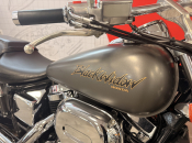 HONDA VT750 BLACK WIDOW - Imagem 7