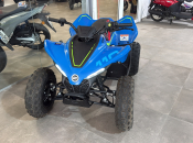 CFMOTO C-FORCE 110 - Imagem 5