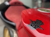 MV Agusta F4 Tamburini - Imagem 10